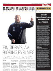 Síða 31