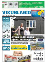 Síða 33