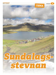 Síða 41