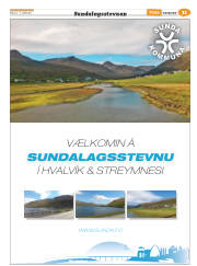 Síða 43
