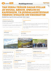 Síða 44