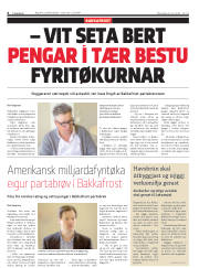Síða 6