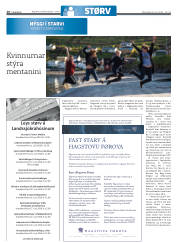Síða 16