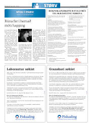 Síða 17