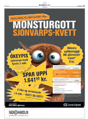 Síða 53