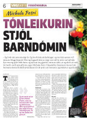Síða 6