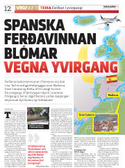 Síða 12