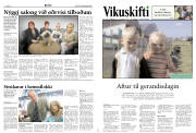 Síða 12