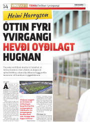 Síða 14