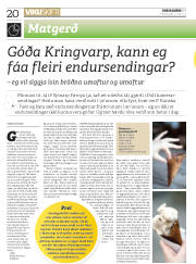 Síða 20