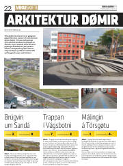 Síða 22