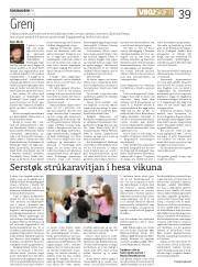 Síða 39