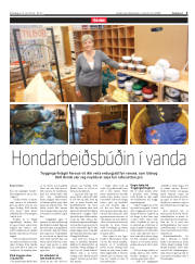 Síða 3