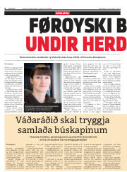 Síða 6