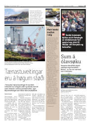 Síða 11