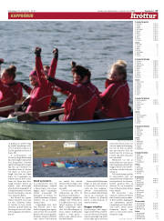 Síða 17