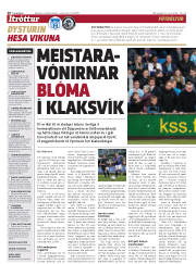 Síða 20