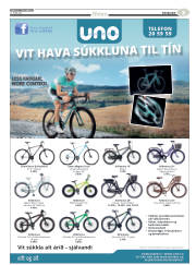 Síða 43