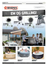 Síða 55