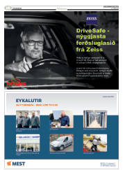 Síða 58