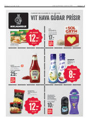 Síða 3