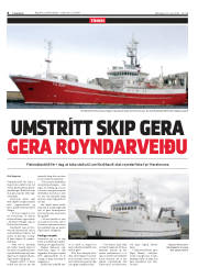 Síða 6