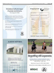 Síða 15