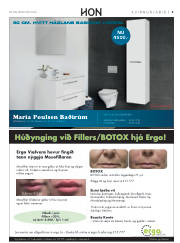 Síða 27