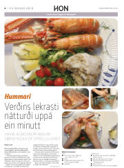 Síða 32
