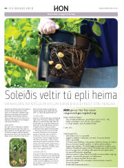 Síða 36