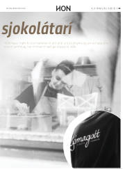 Síða 39