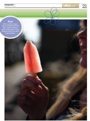 Síða 21