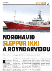 Síða 29