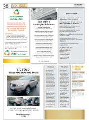 Síða 38