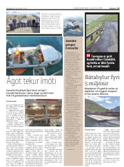 Síða 11