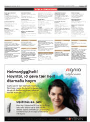 Síða 13