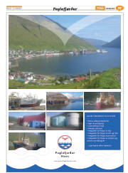 Síða 41