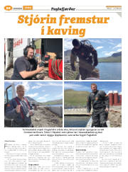 Síða 44