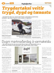 Síða 46