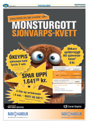 Síða 48