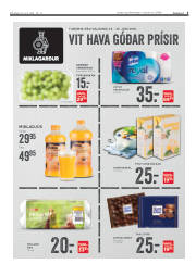 Síða 3