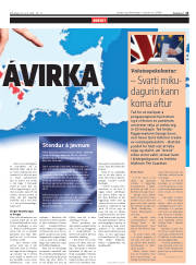 Síða 13