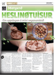 Síða 16
