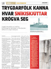 Síða 18