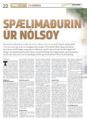 Síða 22