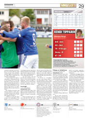 Síða 29