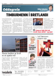 Síða 2