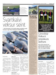 Síða 9