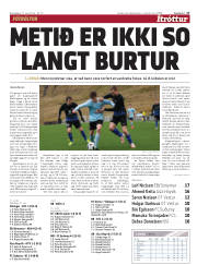 Síða 17