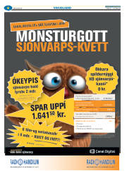 Síða 30